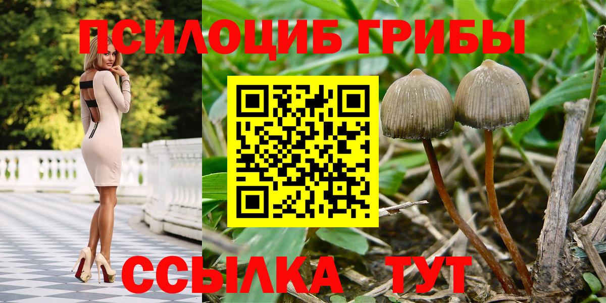 Коммунар  цена наркотик  Вход с VPN  Псилоцибиновые грибы Psilocybine cubensis 